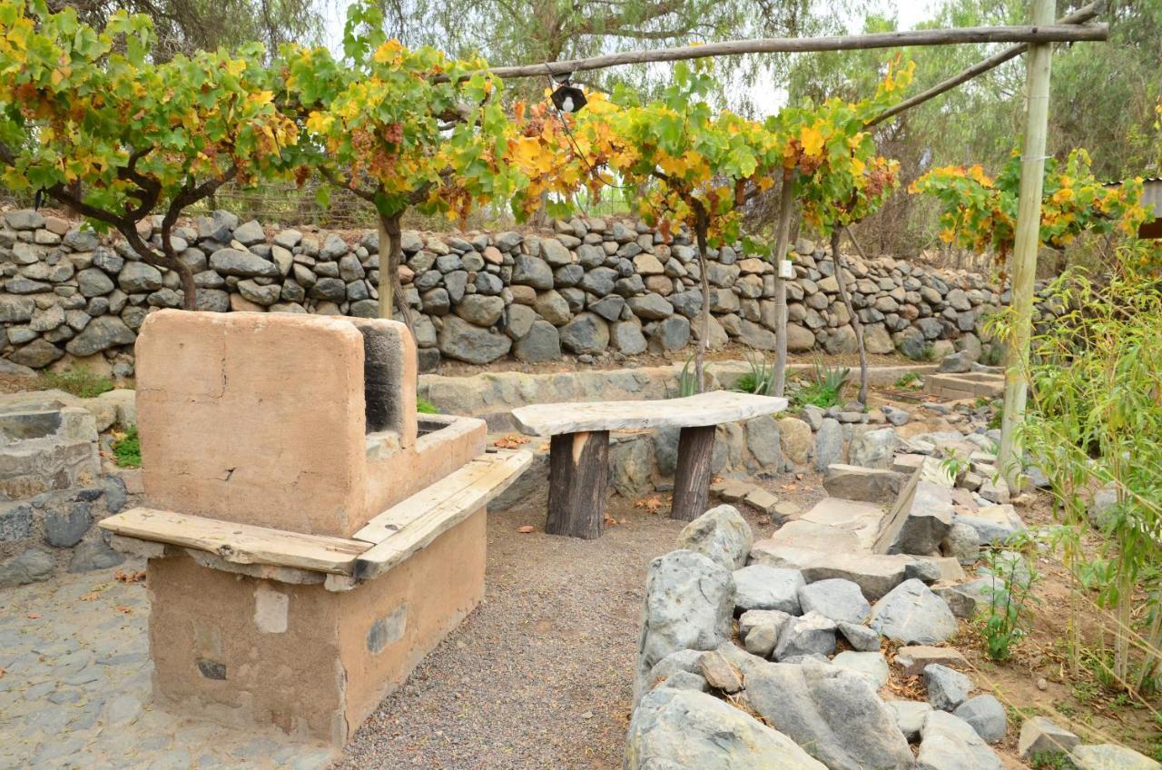 Cabanas Ahopiedra Vicuna Exterior photo